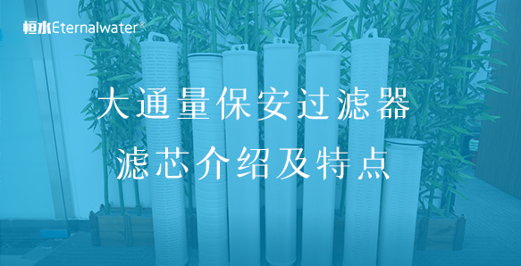大通量保安過(guò)濾器濾芯介紹及特點(diǎn)