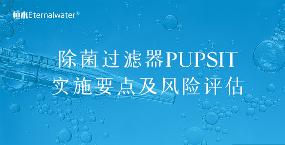 除菌過濾器PUPSIT實施要點及風(fēng)險評估